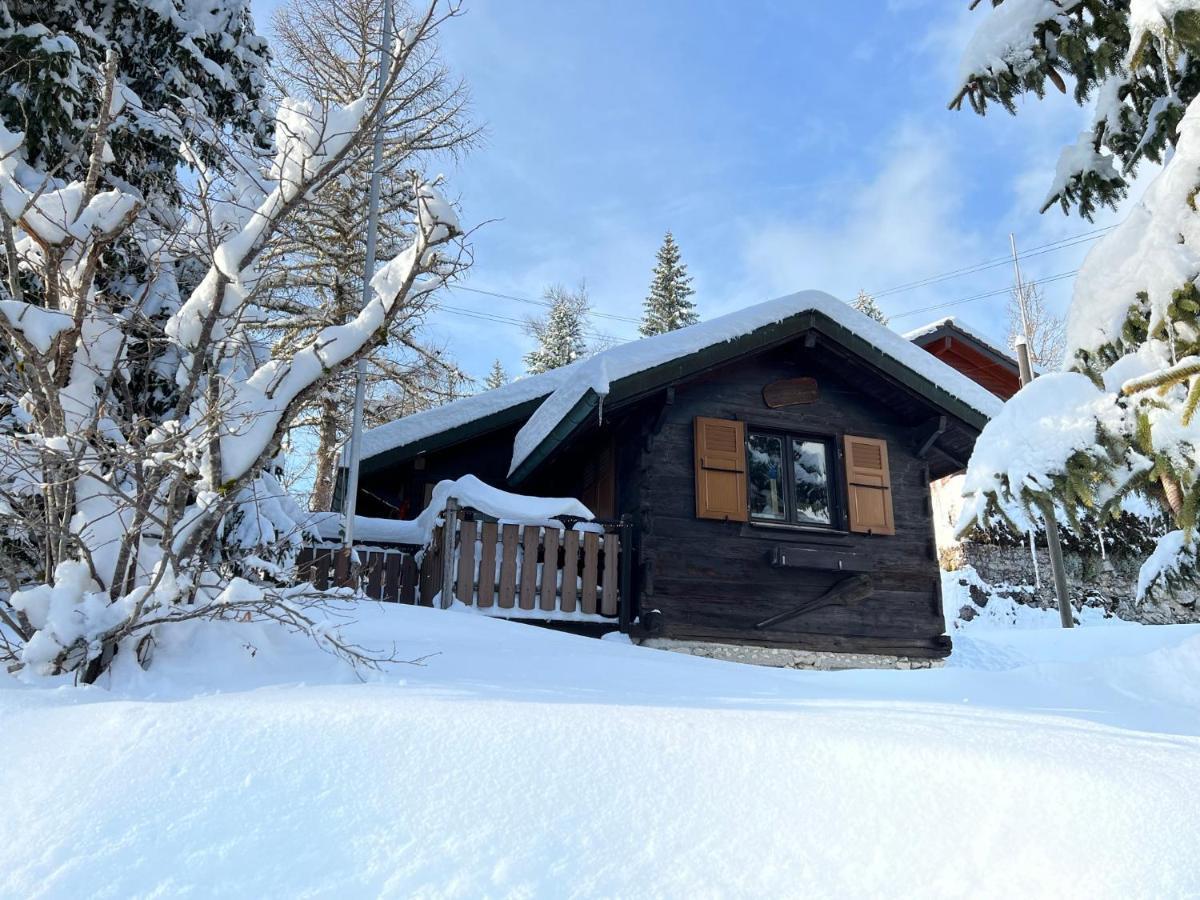 Entire Cozy Chalet In St-Cergue - 30 Min From Geneva Saint-Cergue Esterno foto
