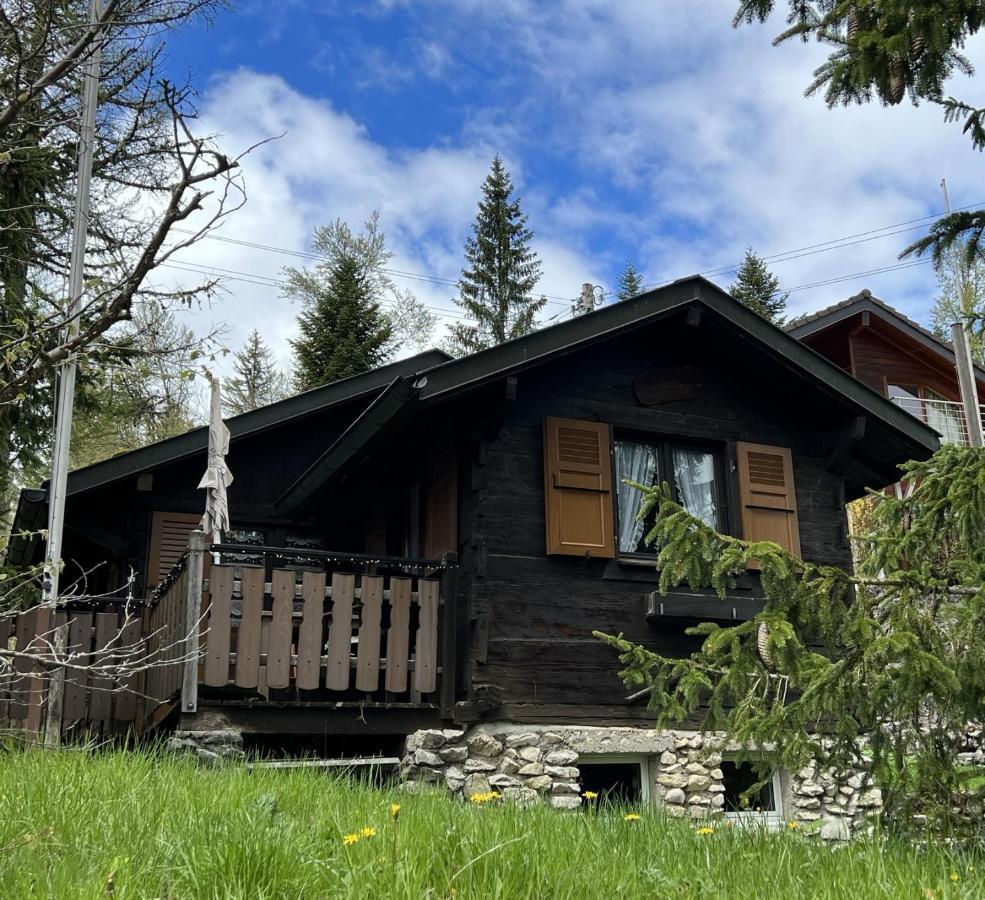 Entire Cozy Chalet In St-Cergue - 30 Min From Geneva Saint-Cergue Esterno foto