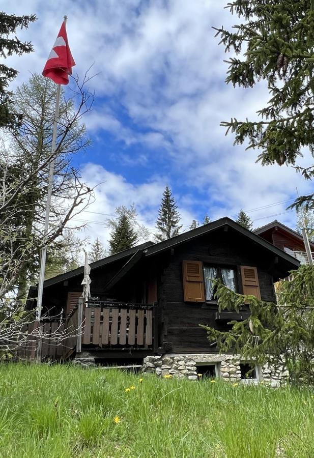 Entire Cozy Chalet In St-Cergue - 30 Min From Geneva Saint-Cergue Esterno foto